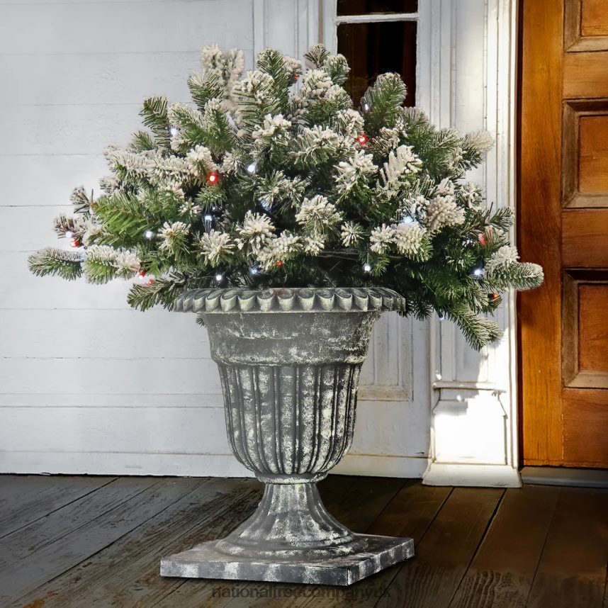 Greenery | National Tree Company 24\ Snowy Sheffield Spruce Porch Bush with Twinkly LED Lights F2L4F494